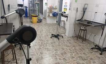 Imagem 2: ESTABELECIMENTO COMERCIAL COMERCIAL em BELO HORIZONTE - MG, PET SHOP E CLÍNICA // R$380.00