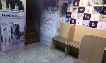 Imagem 3: ESTABELECIMENTO COMERCIAL COMERCIAL em BELO HORIZONTE - MG, PET SHOP E CLÍNICA // R$380.00