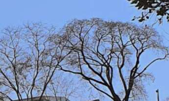 Imagem 3: TERRENO RESIDENCIAL em CONFINS - MG, R$600.000,00 // CONFINS