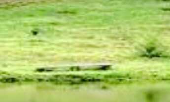 Imagem: SITIO RURAL em OURO FINO - MG, centro