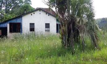 Imagem 6: Rurais à venda - no Centro