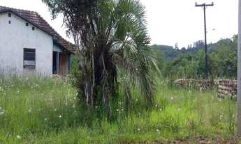 Imagem 7: Rurais à venda - no Centro