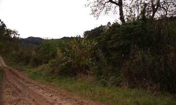 Imagem 2: Rurais à venda - no Centro