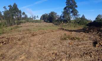 Imagem 6: Área de terras com 14,00 ha na Fortaleza- Montenegro - 724