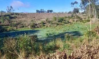 Imagem 5: Área de terras com 14,00 ha na Fortaleza- Montenegro - 724
