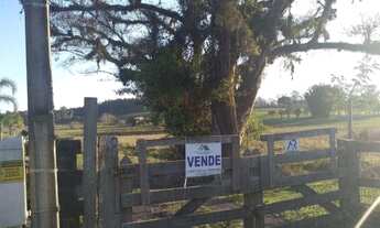 Imagem: Rurais à venda - na Costa da Serra