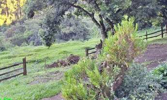 Imagem 4: CHACARA RURAL em MARATÁ - RS, Esperança