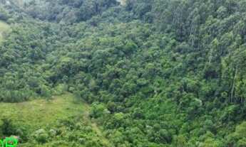 Imagem: CHACARA RURAL em MARATÁ - RS, Esperança