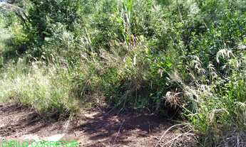 Imagem 5: CHACARA RURAL em MARATÁ - RS, Pinheiro Machado