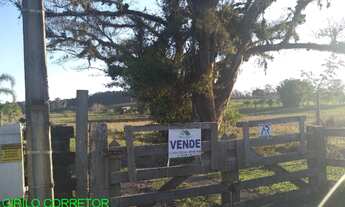 Imagem: CHACARA RURAL em MONTENEGRO - RS, Costa