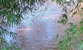 Imagem: CHACARA RURAL em MONTENEGRO - RS, Passo