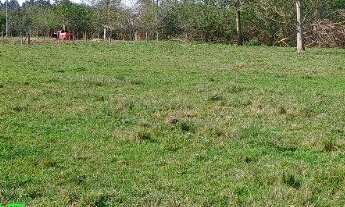 Imagem: SITIO RURAL em MONTENEGRO - RS, Passo da