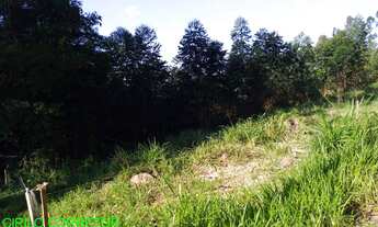 Imagem: CHACARA RURAL em MONTENEGRO - RS, LINHA