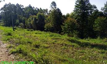 Imagem 3: CHACARA RURAL em MONTENEGRO - RS, LINHA CATARINA