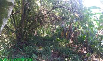 Imagem 3: CHACARA RURAL em MONTENEGRO - RS, SERRA VELHA