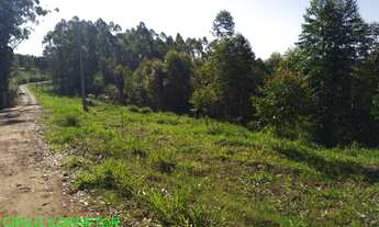 Imagem 4: CHACARA RURAL em MONTENEGRO - RS, LINHA CATARINA