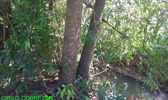 Imagem 2: CHACARA RURAL em MONTENEGRO - RS, SERRA VELHA