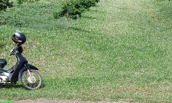 Imagem: CHACARA RURAL em BROCHIER - RS, LINHA PINHEIRO