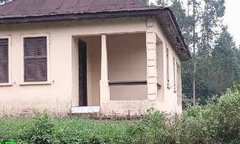 Imagem: CHACARA RURAL em BROCHIER - RS, Pinheiro