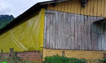 Imagem: CHACARA RURAL em BROCHIER - RS, Pinheiro