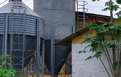 Imagem 3: CHACARA RURAL em BROCHIER - RS, Pinheiro Machado