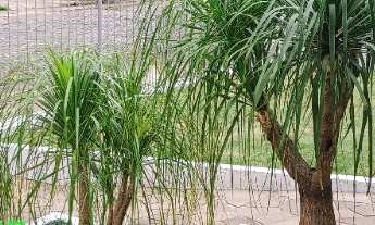 Imagem 4: CASA RESIDENCIAL em Montenegro - RS, Ferroviário