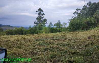 Imagem 4: CHACARA RURAL em MONTENEGRO - RS, ALFAMA