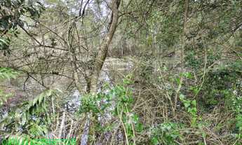 Imagem 6: CHACARA RURAL em MONTENEGRO - RS, Passo da Amora