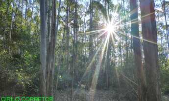 Imagem: CHACARA RURAL em MONTENEGRO - RS, Costa