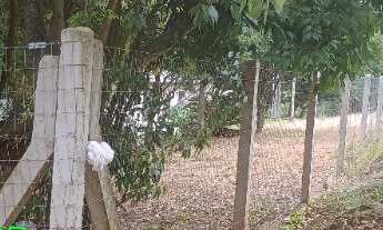 Imagem 7: CHACARA RURAL em CAPELA DE SANTANA - RS, BOQUEIRÃO