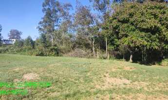 Imagem 3: AREA COMERCIAL em TAQUARI - RS, CARAPUÇA