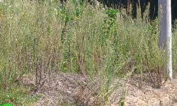 Imagem: TERRENO RESIDENCIAL em PARECI NOVO - RS