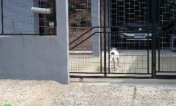 Imagem: CASA RESIDENCIAL em Montenegro - RS, Estação