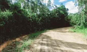 Imagem: CHACARA RURAL em MONTENEGRO - RS, COSTA