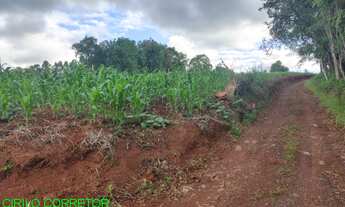 Imagem: CHACARA RURAL em MONTENEGRO - RS, ALFAMA