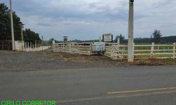 Imagem 5: CHACARA COMERCIAL em PÓLO PETROQUÍMICO DE TRIUNFO - RS, Polo Petroquímico