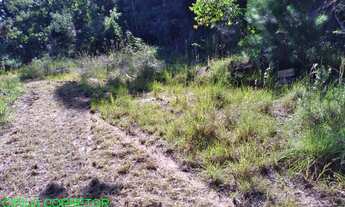 Imagem: CHACARA COMERCIAL em MONTENEGRO - RS, PASSO