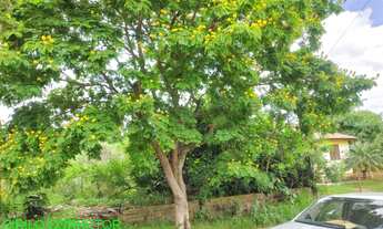 Imagem: TERRENO RESIDENCIAL em MONTENEGRO - RS