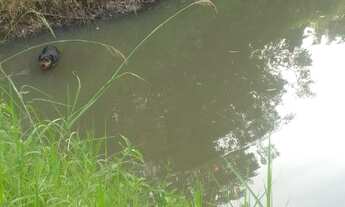 Imagem 5: CHACARA RURAL em PAVERAMA - RS, Santa Manoela