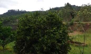 Imagem 7: CHACARA RURAL em PAVERAMA - RS, Santa Manoela