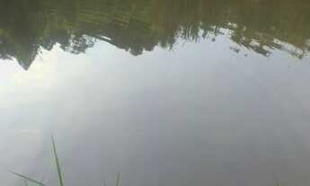 Imagem 6: CHACARA RURAL em PAVERAMA - RS, Santa Manoela