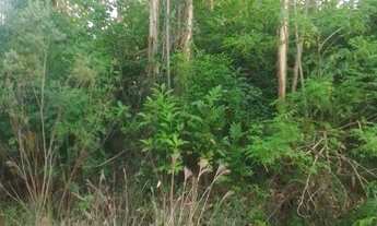 Imagem 3: CHACARA RURAL em PAVERAMA - RS, Santa Manoela