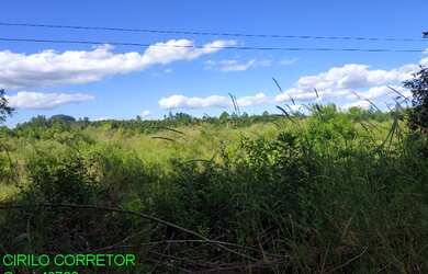 Imagem 3: CHACARA RURAL em MONTENEGRO - RS, POTREIRO GRANDE