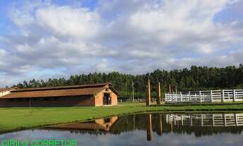 Imagem: HARAS RURAL em PORTÃO - RS, Aparecida