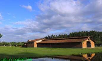 Imagem 2: HARAS RURAL em PORTÃO - RS, Aparecida