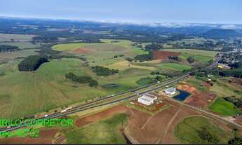 Imagem 3: FAZENDA COMERCIAL em TRIUNFO - RS, COXILHA VELHA