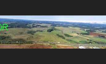 Imagem 4: FAZENDA COMERCIAL em TRIUNFO - RS, COXILHA VELHA