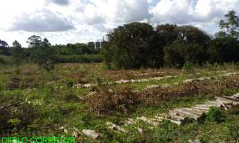 Imagem 5: CHACARA RURAL em MONTENEGRO - RS, PASSO DA AMORA