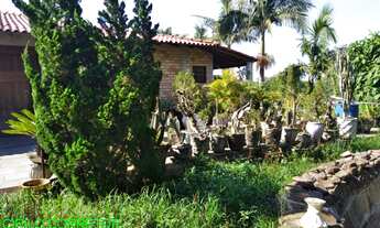 Imagem 5: CHACARA COMERCIAL em TRIUNFO - RS, PASSO RASO