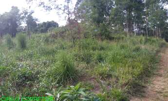 Imagem 5: CHACARA RURAL em MARATÁ - RS, MACEGA